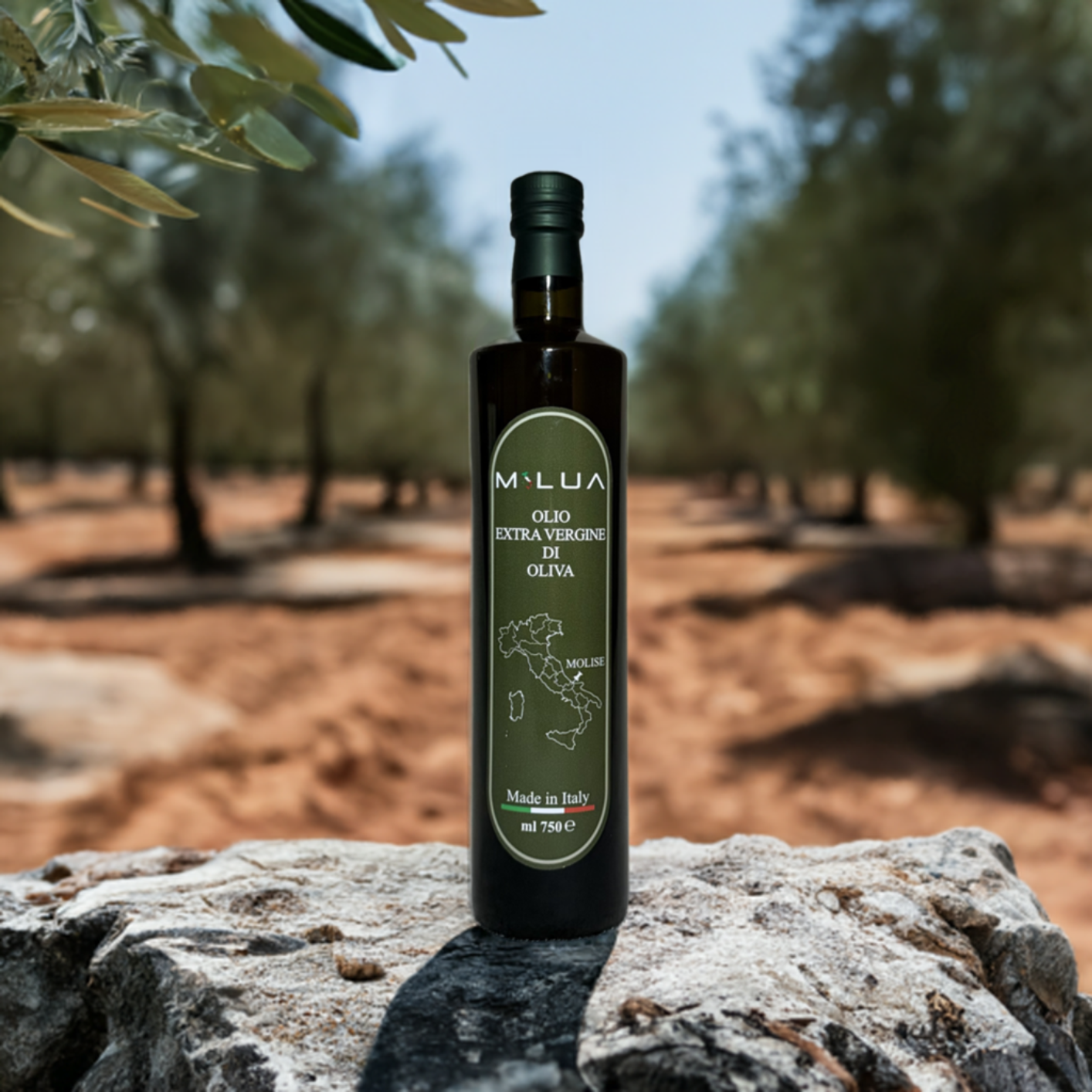 Milua Olivenöl Extra Vergine